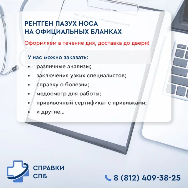 рентген пазух носа справка